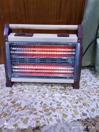 صوبه شغاله نوعيتها نوال للبيع 07816803817