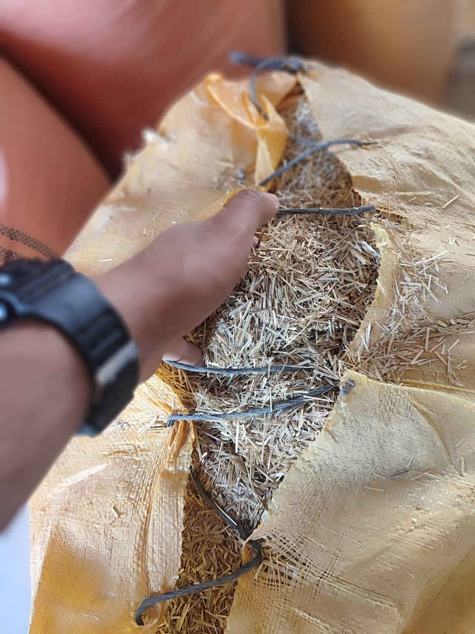 اسلام عليكم متاح تبن مجروش حجم الكبير
نضيف ومخزون مكان معزول عن الرطوبه 
سعر الكونيه 5 ونص 
مكاني التاجي الاين
***********
*********** وتس
