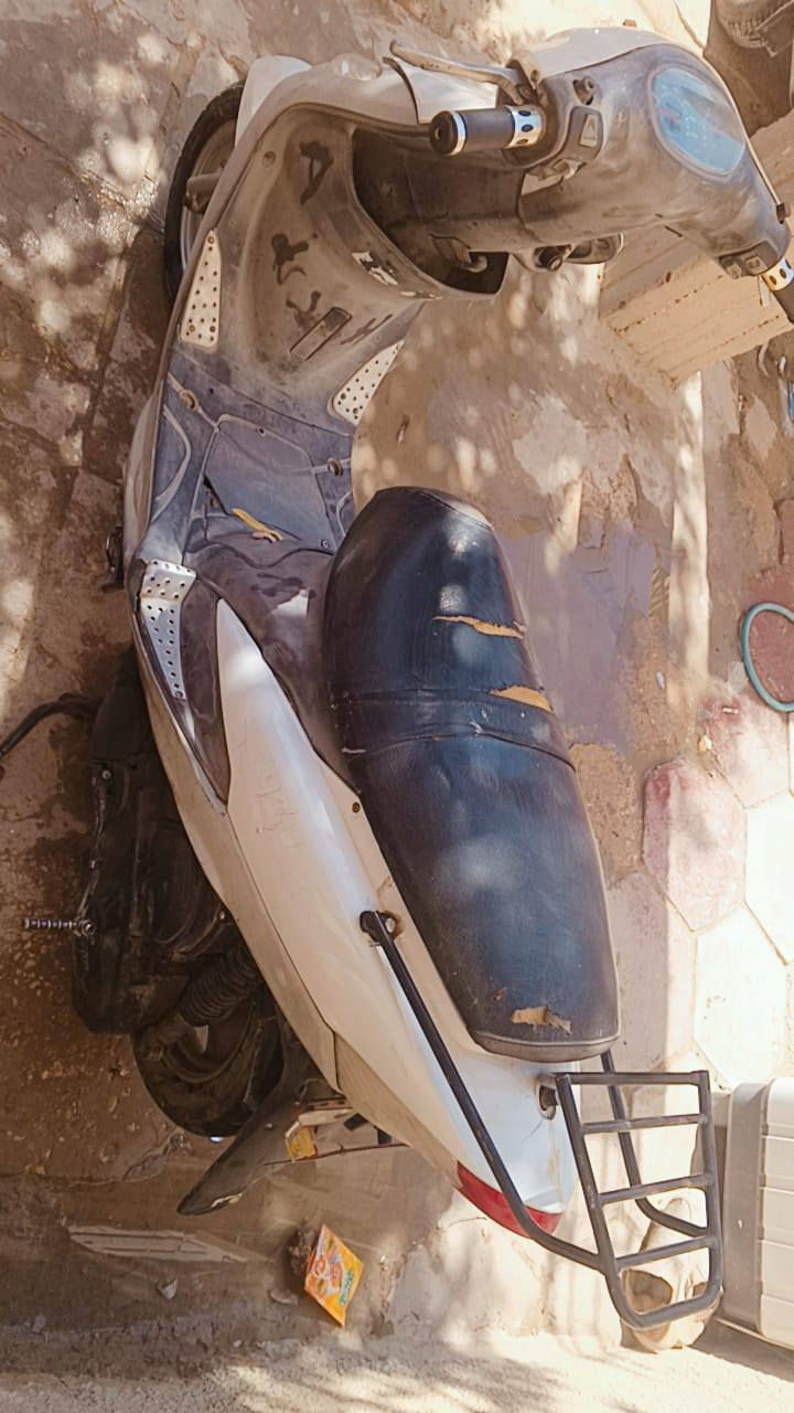 للبيع ماكس منغولي بوشه49 سعر 350
***********
