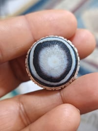 جزع بقري • قياس ٢١-٢٢ • بغداد الطالبيه