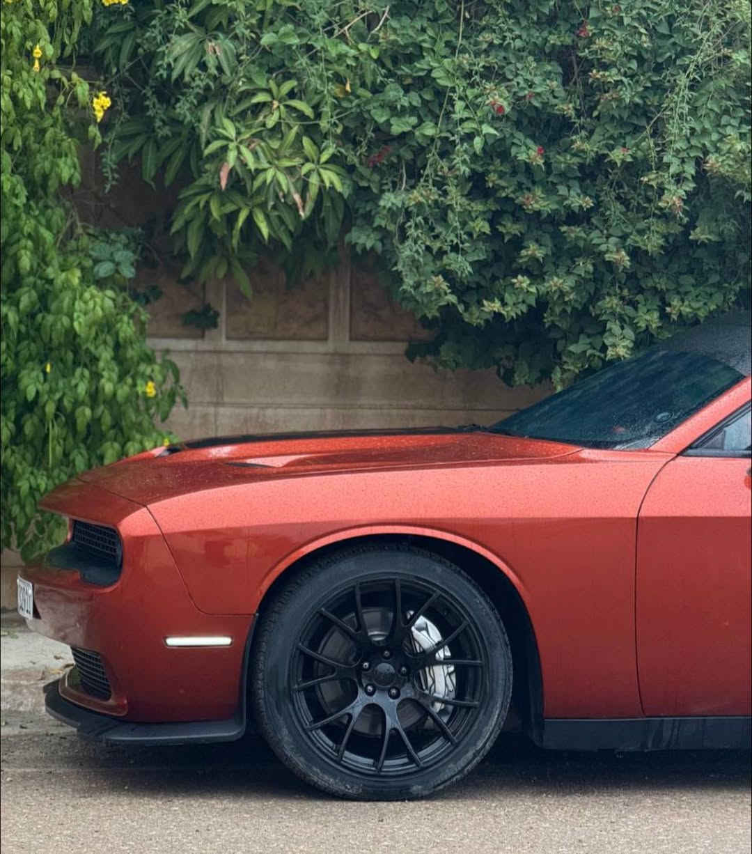 اللهم صلى عل محمد وال محمد 

دوج جالنجر 2021  ارتي 5700 رقم سليمانية 
ماشية 70 الف 
بدون ايرباك 
تحويل ثاني يوم 
لون مميز السياره مو مثل اي ارتي عليها برمجة مرواح وكت اوف وبك فاير  وكامله مكمله  وغرفة السيارة مشمشي مشتغليها بدبي متصرف ربع عليها 
برمجة الشاشه والكيجات هليكات 
السيارة بدون داوخل لا شاصي ولا لغود 
تخم تاير جديد 
بلكات ريسنك 
ولف حماوة ريسنك 

قطعتين صبغ جامولوغ جهة السكن وبنيد وجامرلوغ السايق مباوك عليه  

السعر (177 ) بيها مجال بسيط  عنوان ديالى 
متواجد واتس ***********
