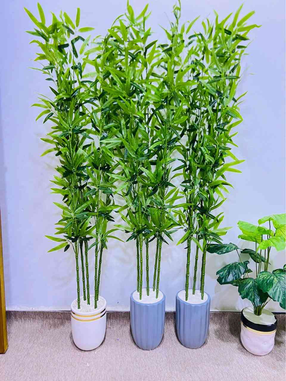 ابي الخصيب حمدان كله جديد آخر قطع اكو ٢٥ واكو ٣٠ البصرة, العراق


**إذا كنت صاحب هذا الإعلان وتريد حذفه لأي سبب، رجاءا أرسل رسالة إلى الدعم الفني**