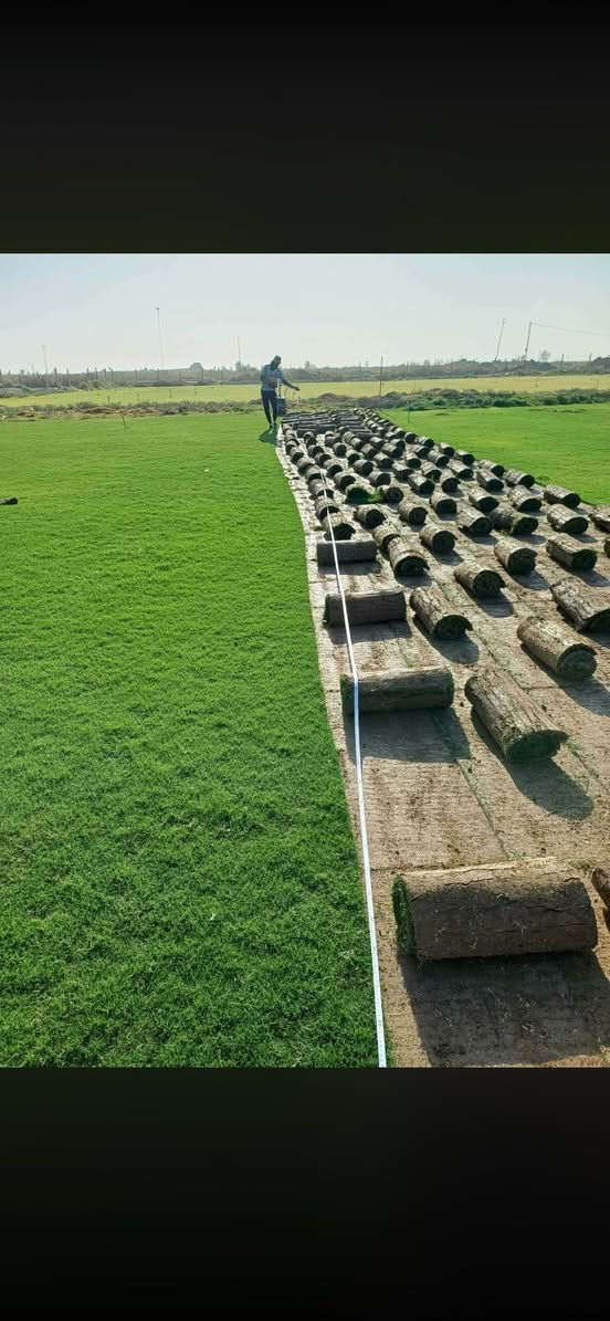 ***********/***********
