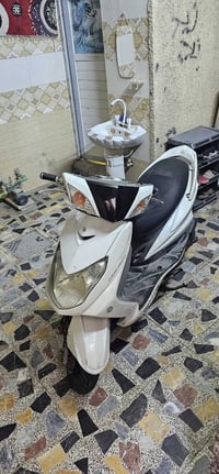 سكنس فحل • مكفوله • كله بلاديه