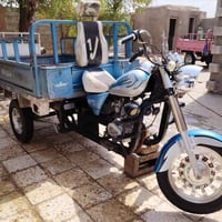 ستوته • ٢٠١٥ • شاصي مكفول