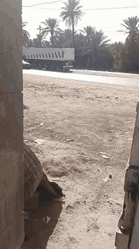 بيت تجاري • طابو زراعي • بابل الحله