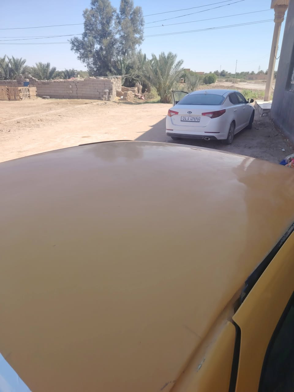 رينو للبيع محرك كير حدادية تواير گشرتة نضيفة سيارة مابية خياس شرط سياره جاهزه رقم مثنئ انكليزي مداور ثاني يوم السعر 28
رينو للبيع محرك كير حدادية تواير گشرتة نضيفة سيارة مابية خياس شرط سياره جاهزه رقم مثنئ انكليزي مداور ثاني يوم السعر 28
للستفسار ***********
