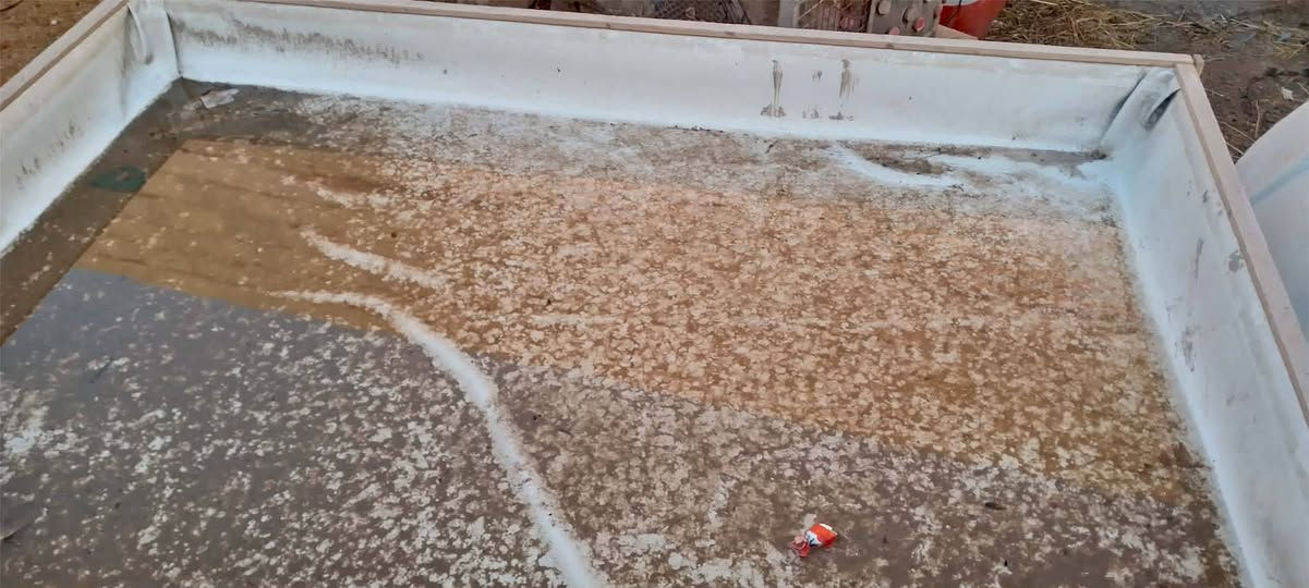 للبيع هلاسه دجاج هي وغراضه كامله ب 
سعره 300 مكانه سماوه شراي خاص


**إذا كنت صاحب هذا الإعلان وتريد حذفه لأي سبب، رجاءا أرسل رسالة إلى الدعم الفني**