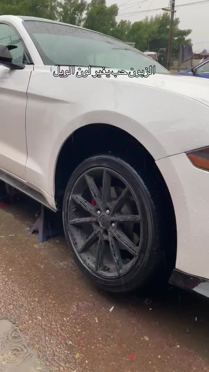 صبغ الويالة   75   ألف فقط التخم
متوفر جميع الألوان 🎨
صبغ بفرن حراري 🌡️
ضمان بالعمل 💯
نقاوة صبغ عالية 🔥
العنوان : بغداد ~ الأسكان ~ شارع مستشفى الطفل ~ مقابل ثانوية بابل ***********
