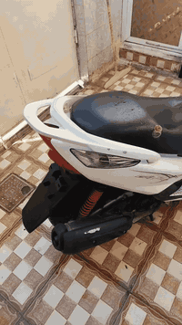 ماكس ثعلب • بغداد الحسينيه • واتساب