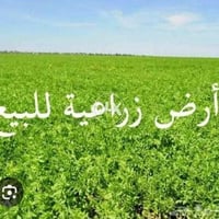 طابو زراعي • ٢٠٠م • حي المصطفى