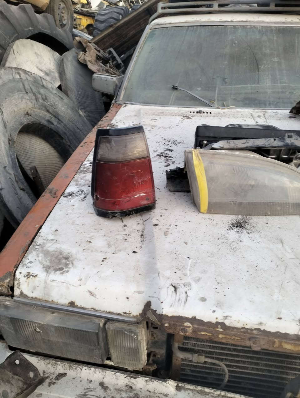 السلام عليكم 
تفصيخ دايو لمنز ... شتحتاج ابيعلك 
مكاني بغداد جسر ديالى الجديد بالحي الصناعي 
***********
***********
