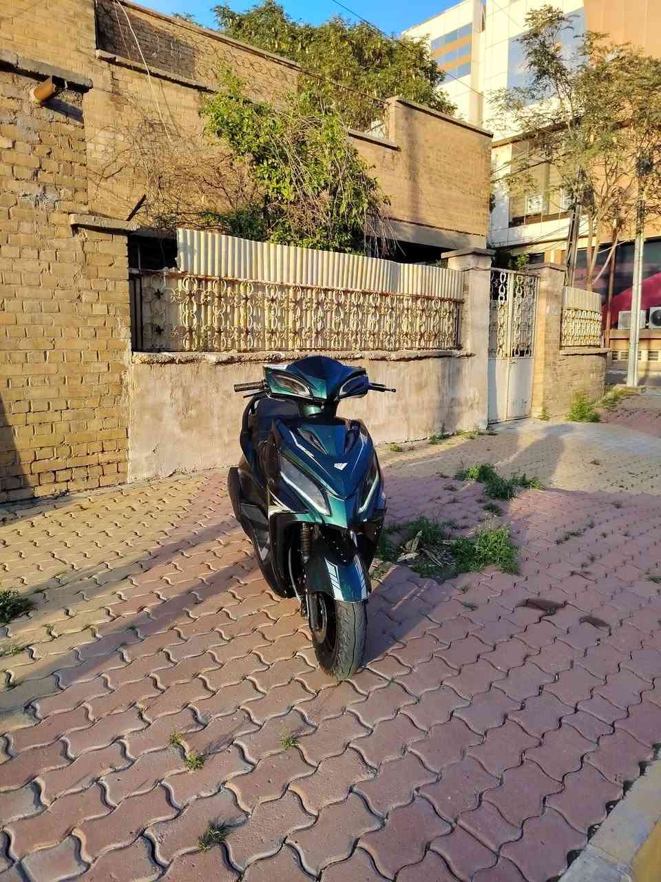 سلام عليكم ماكس جانبو 2022 ياباني دراجه لوك كله عله وضع الشركه فقد سلف رياضي نكره سلف كهربائيات كامل اشاير حساسات بكلايت كامل مكمل محرك شرط ما تسمع صوته دراجه ناعمه وتخبل السعر 425 وبي مجال شرط فحص والضمان الشراي خاص رجاءن المو شراي لا يدخل


**إذا كنت صاحب هذا الإعلان وتريد حذفه لأي سبب، رجاءا أرسل رسالة إلى الدعم الفني**