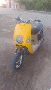 بوليس • قضاء المدينه • بيها مجال