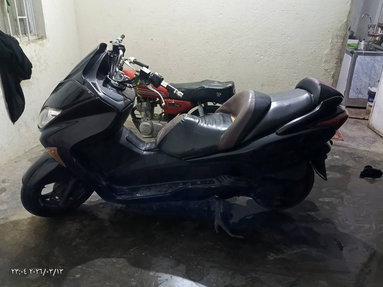 سلام عليكم...       ....  وعليكم السلام
ناشر دراجه فورزه البيع......      . نعم حبيبي 
 شنو نوعيتها...........    80 بصمه 
اورق كلك منفيس.........     بس مكاتبه حبي 
مكينتها شلونها.....    خير من الله مكينتهتا 
هم بيها تنقيص.....   لا تنقيص ولا تبخير 

شكد طلع معدل دراجه ......  120 صافي 
 هم مصبوغه دراجه....  قطرت صبغ مابيها 

 وسويلك مكاتبه بيها كفاله عشائر ومن البوكه 
مكاني بل حله وشغلي بكربلاء  توصال خاص مفوتح وخطي هم مفتوح بيا وقت اتصل ***********
