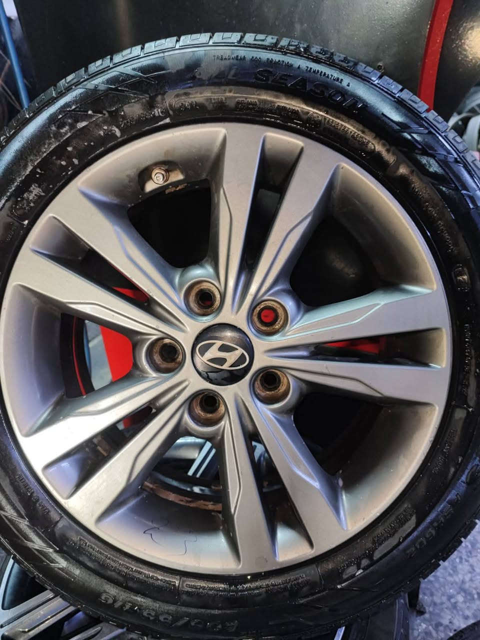 السلام عليكم يتوفر جميع انواع الويل كب زورو موقعنا شارع فلسطين مجاور كنافه القدسي  خدمات العالميه يوجد خدمه توصيل كافه المحافظات ***********
