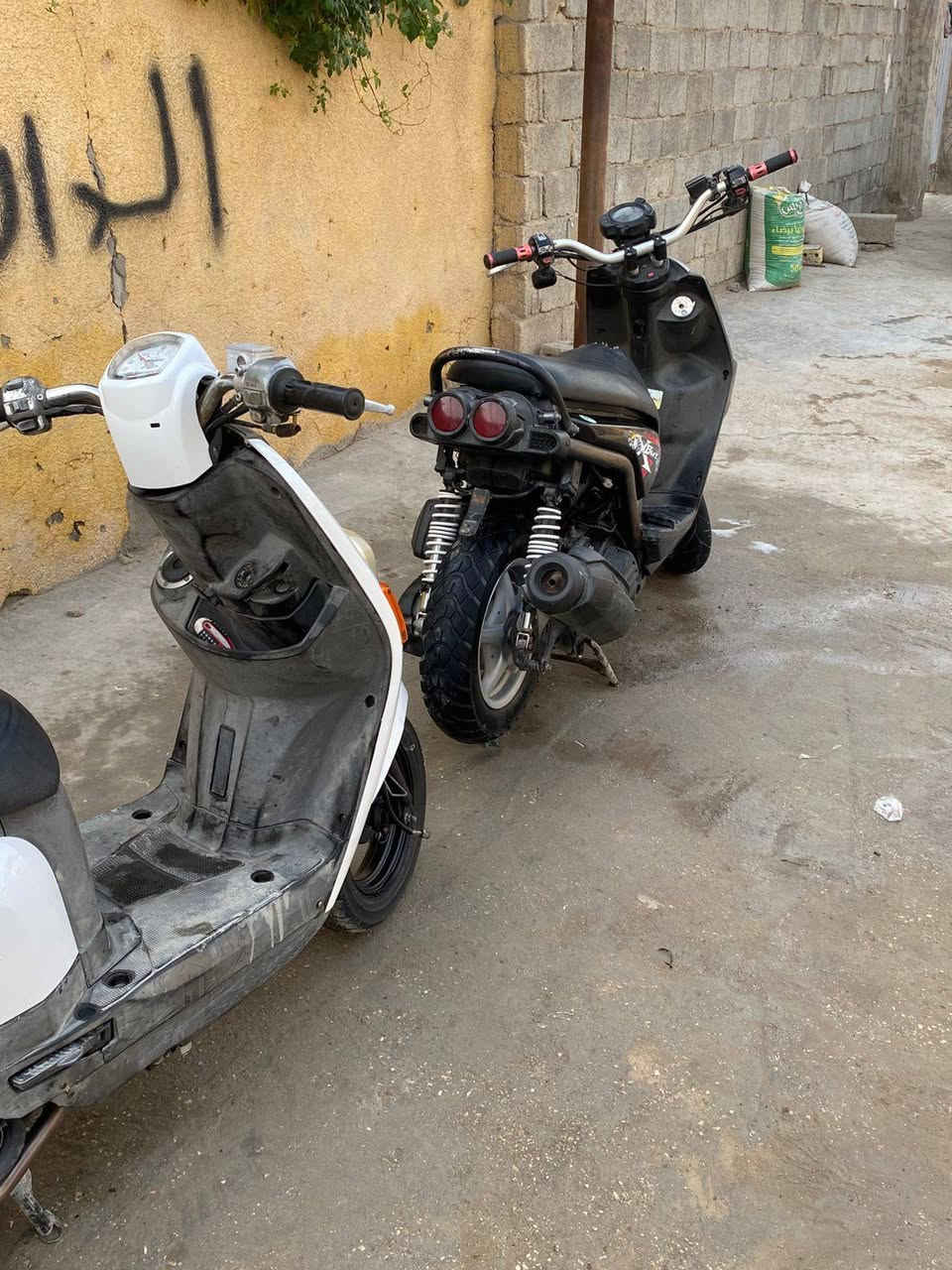 سلام عليكم سكنس جبلي بوشه 58 للبيع مستعجل عليه مو شراي لا تراسلني 
مكاني كربلاء حي العامل
رقم ***********
