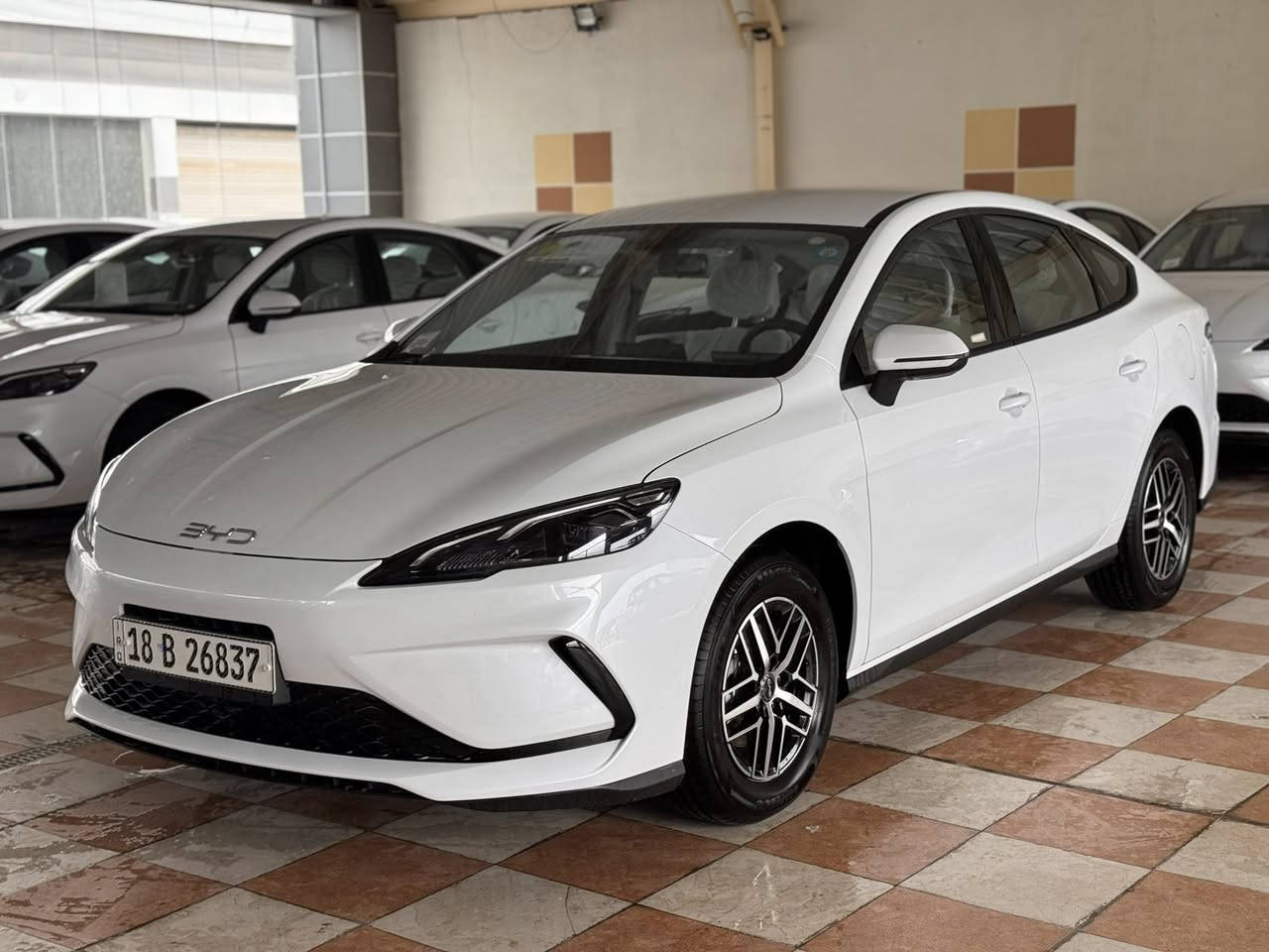 Seal 05


**إذا كنت صاحب هذا الإعلان وتريد حذفه لأي سبب، رجاءا أرسل رسالة إلى الدعم الفني**