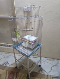 قفص ببغاء • كوكتيل • حجم كبير
