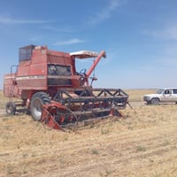 حاصده فوركسن • موديل ١٩٨٩ • تلعفر زمار