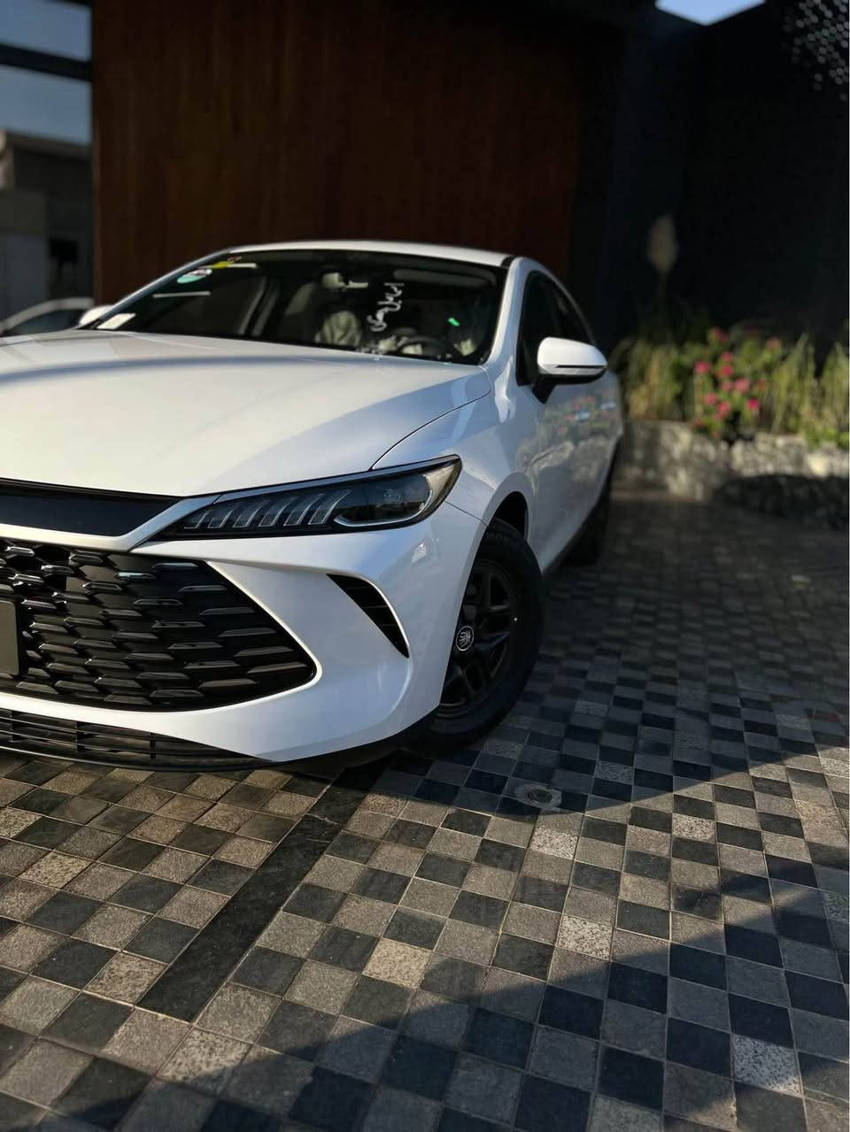 byd کوین پلەس 

٢٠٢٥ سفر کم ناو زەیتونی 

١٢٠$ 

کامل ئەشیای لەگەڵە بۆیاخ تەنک چاڵ و شوختیش بە شەرت 

***********

