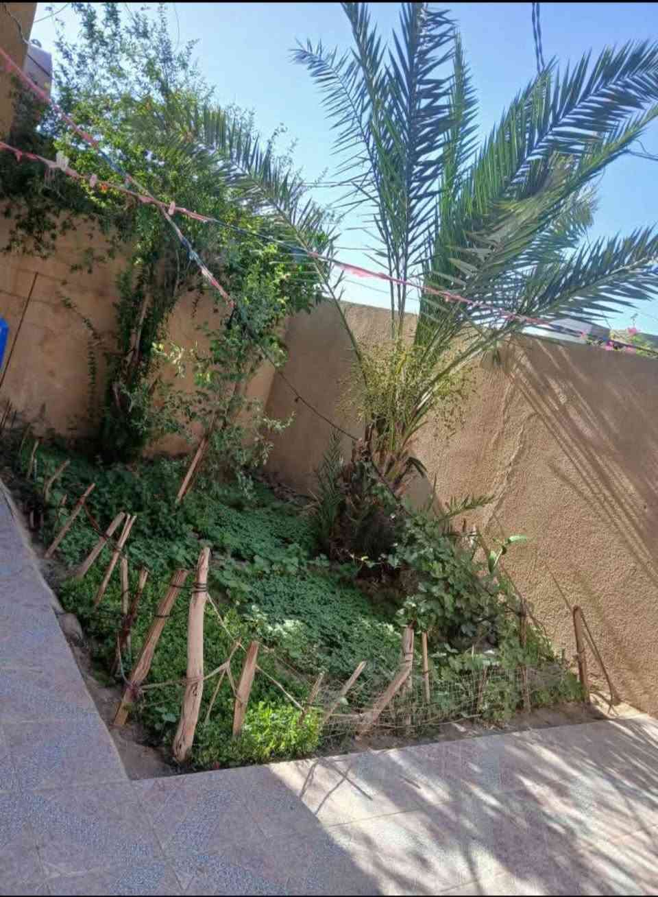 السلام عليكم
دار للبيع. قرب شارع جاسم البدري في شارع النفط.

 مساحة250م.

يتكون من استقبال وصالة ومطبخ وثلاث غرف نوم.

 كذلك يحتوي على حديقة ومنور وترك. 

الأساس بتلو طابوق. بناء بلوك سقف صب مع رباط داير البيت

ماء وكهرباء في الباب +إنترنت (كيبل ضوئي) 

السعر 43 مليون 

 ***********...***********
