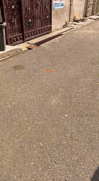 بيت للبيع • بنزينخانة غرناطة • 150م