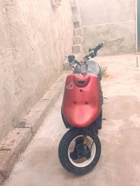 حربي • مراوس • نجف