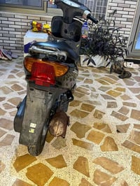 اكزز عصفوري • فرخ • ايسر