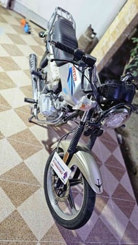 دايوان • عظم أصلي • موديل ٢٢