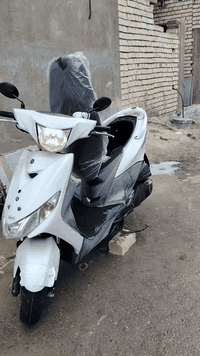 07747773016 بغداد شعله