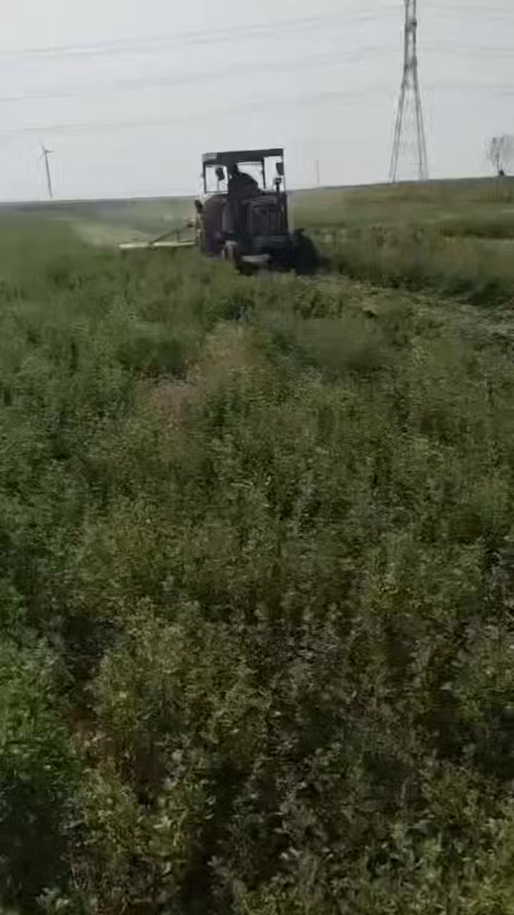 الأشهر القادمة إن شاء الله 
 يتم إستيراد حاشوشة الجت والتي تضاهي المنتج التركي وبعرض ١٨٥سم 
 ونسأل الله التوفيق لجميع الفلاحين بإستخدام كل ما هو جديد ومفيد للفلاح وبإسعار مناسبة 
        معرض خيرات الارض للمعدات الزراعية
         مهندس محمد العزاوي أبودعاء بعقوبة


**إذا كنت صاحب هذا الإعلان وتريد حذفه لأي سبب، رجاءا أرسل رسالة إلى الدعم الفني**