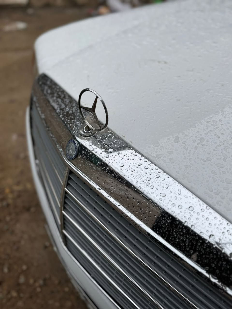 بسم الله مشاءالله
مارسيدس جامبو رئاسي 300SE

المواصفات
1-لون ابيض
2-حجم 300SE بلادي
3-موديل 1989
4-رقم بغداد بأسمي تحويل مباشر
5-صاجات كاملات
6-دبل فيت بم
7-دبل مروحه
8-محرك عنكبوت بلادي
9- محرك وكير مكفول 
10-ادامه كير ومكينه جديد
11-ادامه منظومة البانزين والتانكي والعنكبوت جديد

للبيع مكاني بغداد مجمع بسماية السكني سعر السياره 85وبي مجال 
الاستفسار ***********
