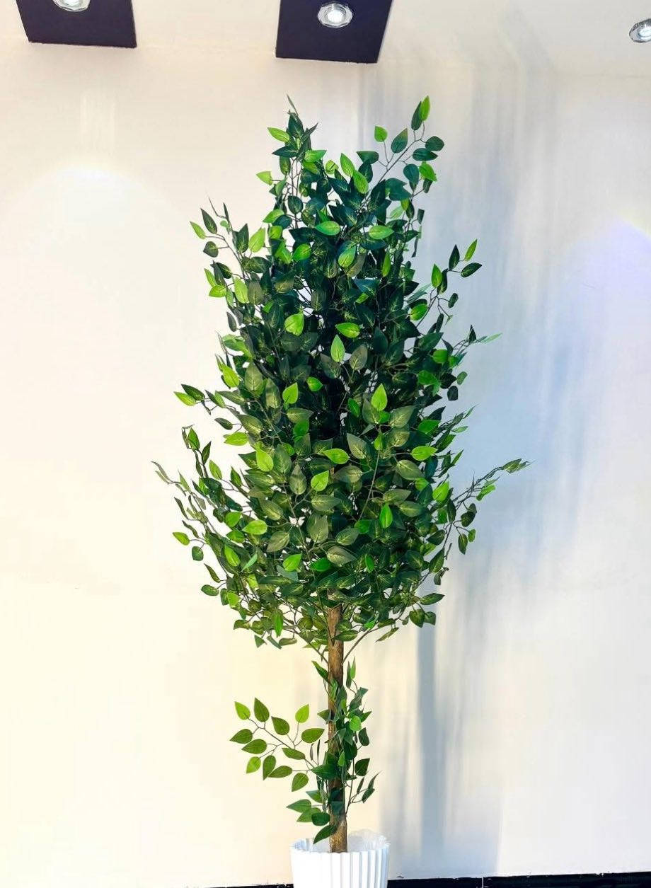 شجرة فكس قياس مترين بعرض خاص ٣٣ الف فقط 🫢✅ توصيل بعد العيد ‼️


**إذا كنت صاحب هذا الإعلان وتريد حذفه لأي سبب، رجاءا أرسل رسالة إلى الدعم الفني**