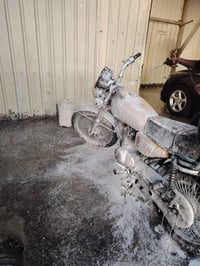 بسمايه • 4 جير • بدون أوراق