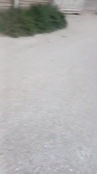 قطعه ارض للبيع المساحه 100 متر طابو زراعي سند 25 العنوان بدايه النيل ت...