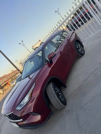 هايلاندر XLE • بدون صبغ • ٢٠٢٠