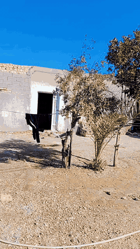 گصيبه طريق ابو الماش • بيت ٤٤٢م • قطعة ٤٠٠م