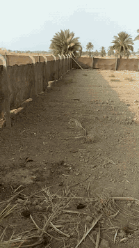 الحله • ٩٠٠م • طابو زراعي