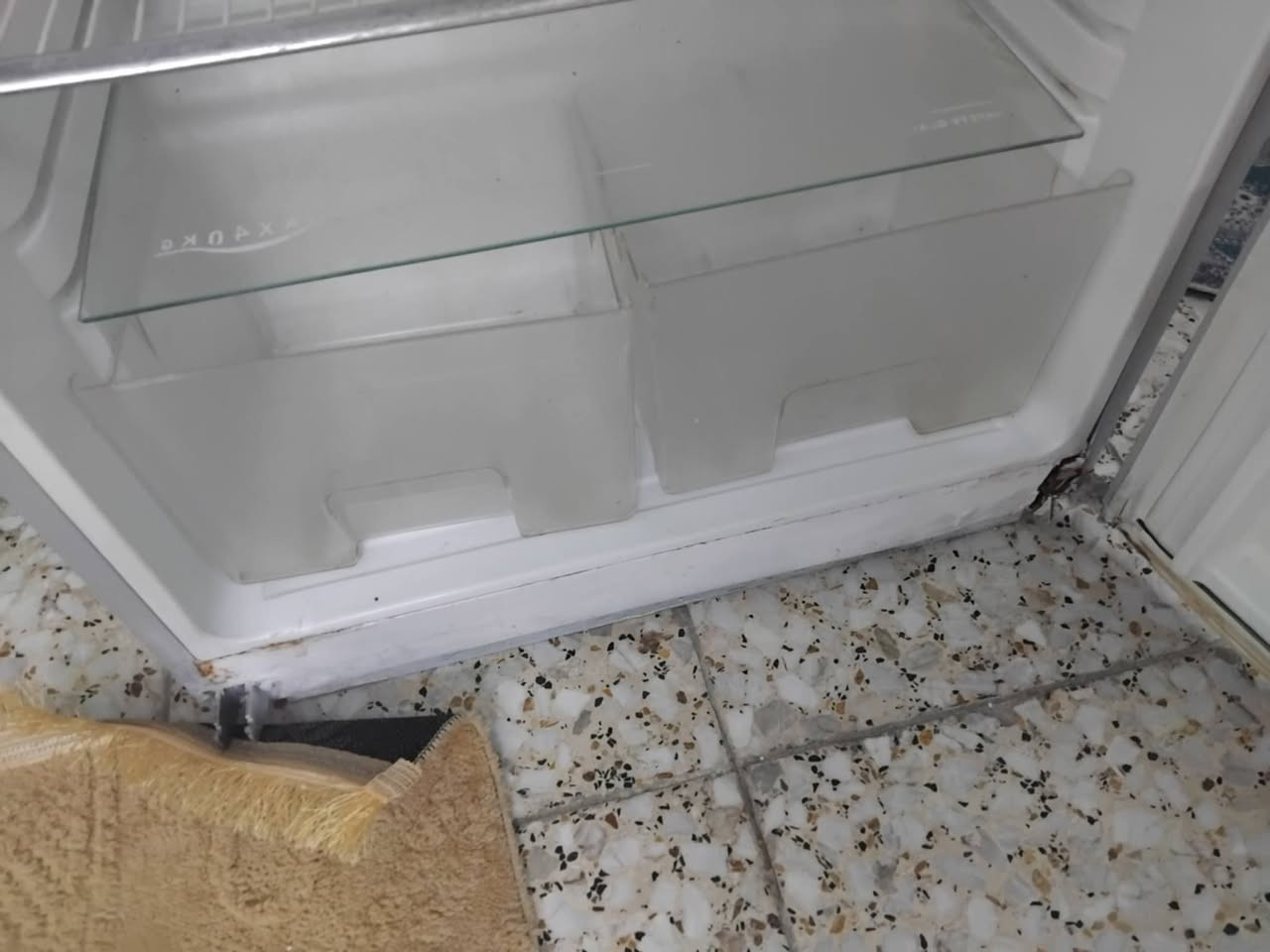 ثلاجة fox حجم 24 قدم سعر 200 بغداد الزعفرانية


**إذا كنت صاحب هذا الإعلان وتريد حذفه لأي سبب، رجاءا أرسل رسالة إلى الدعم الفني**