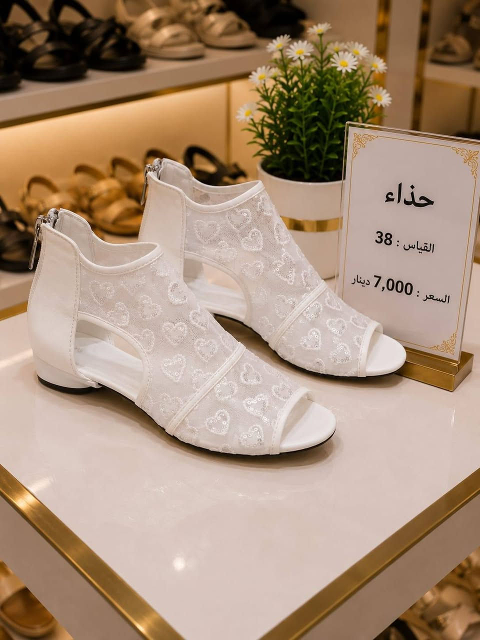 السلام عليكم امازون عقيل عدي القريشي على التيك توك تابعونا باسعار تنافسيه


**إذا كنت صاحب هذا الإعلان وتريد حذفه لأي سبب، رجاءا أرسل رسالة إلى الدعم الفني**