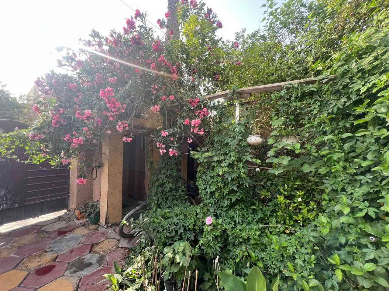 بيت للبيع نهاية حي اور قرب نادي التحدي الرياضي واجهة ٦.٨٥ نزال ٢٥ مساحة ١٦٨ ثلاث طوابق ٦ غرف نوم طابو صرف ***********
السعر ٢٥٠
