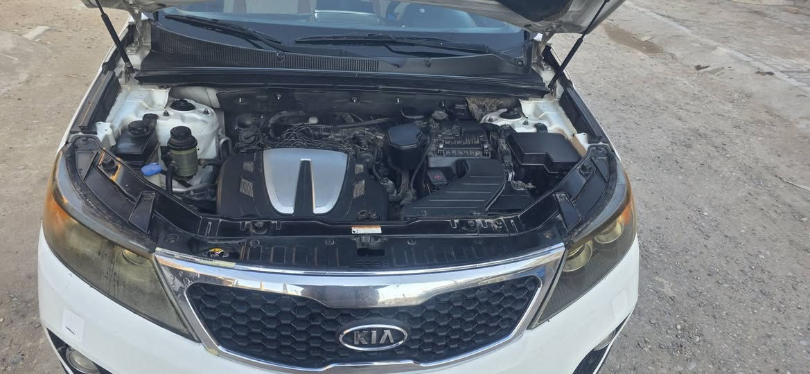 السلام عليكم سورنتو موديل 2010 كويتي
فول مواصفات
بانوراما قطعتين
 محرك 6 سلندر 7راكب
ماشيه 243
بصمه تشغيل
بصمه ابواب
 بصمه الصندوق لخلفي
لدواخل لونين 
كشنات جلد اصلي
وكرسي السائق كهرباء
يدات نيكل بلاد 
دفع رباعي
زراك لايت
لد امامي 
لد خلفي
حساس خلفي 
 تدفئه تبريد 3 قطع تبريد اشاير بلمري مري شفط
تبريد بيانو لمس تحكم  منفصل لعبري ولسايق
شاشه وكامره 
تحكم ستيرن
تحكم سرعه 
هاند بريك رجل 
جام اوتو 
مرئي الوسط تعتم  تايرات جديده
 لسياره مكفوله ما عدا باردات بسيطه  والسونار موجود بلمنشور 
رقم بغداد وبسمي
العنوان ميسان 
السعر 160 وبيه مجال قليل  ***********
