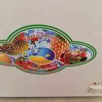 مجمدة • حجم ١٢ • النجف