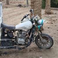 ستوته للبيع السعر 450ارقام كامله سنويه 07886161812