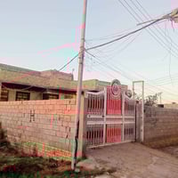 صوب الشاميه • ٤٥٠م • بيت زراعي