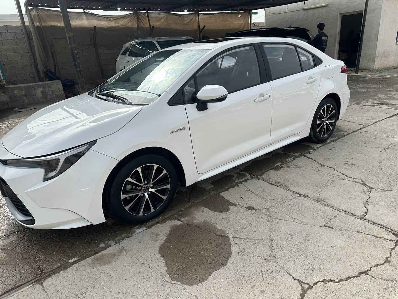 السلام عليكم
كورلا هايبرد 

موديل 2024 رقم اربيل 

سياره جديده جداً بحاله والوكالة 

جداً معتني بيها ماشيه 24

مكفوله من صبغ وضربه ولبارد عدا رصعه  في هلال خلفي صورته 

موصفات فول مواصفات 

بصمه تشغيل أبواب وبيبان 

اوتو هولد 

سايد بريك كهرباء 

نقطعه عمياء 

سلايد كهرباء 

تغليف ارضيه ولصندوق كله بعده ع زيرو 

السعر 148بيه مجال بسيط بكانه سامراء 
لستفسار ***********
