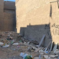 ١٥٠م • زراعي • عطر الرند