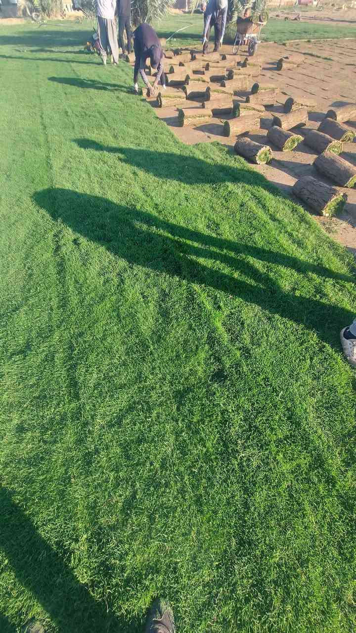 اهلاوسهلا متابعينه الاعزاء ثيل  هندي طبيعي �. سعر المترالمربع (2500)دينار توصيل مجاني � نقدم لكم افضل انواع الثيل الطبيعي عالي الجوده للأستفسار اتصال***********  اتصال*********** 
واتساب ***********
