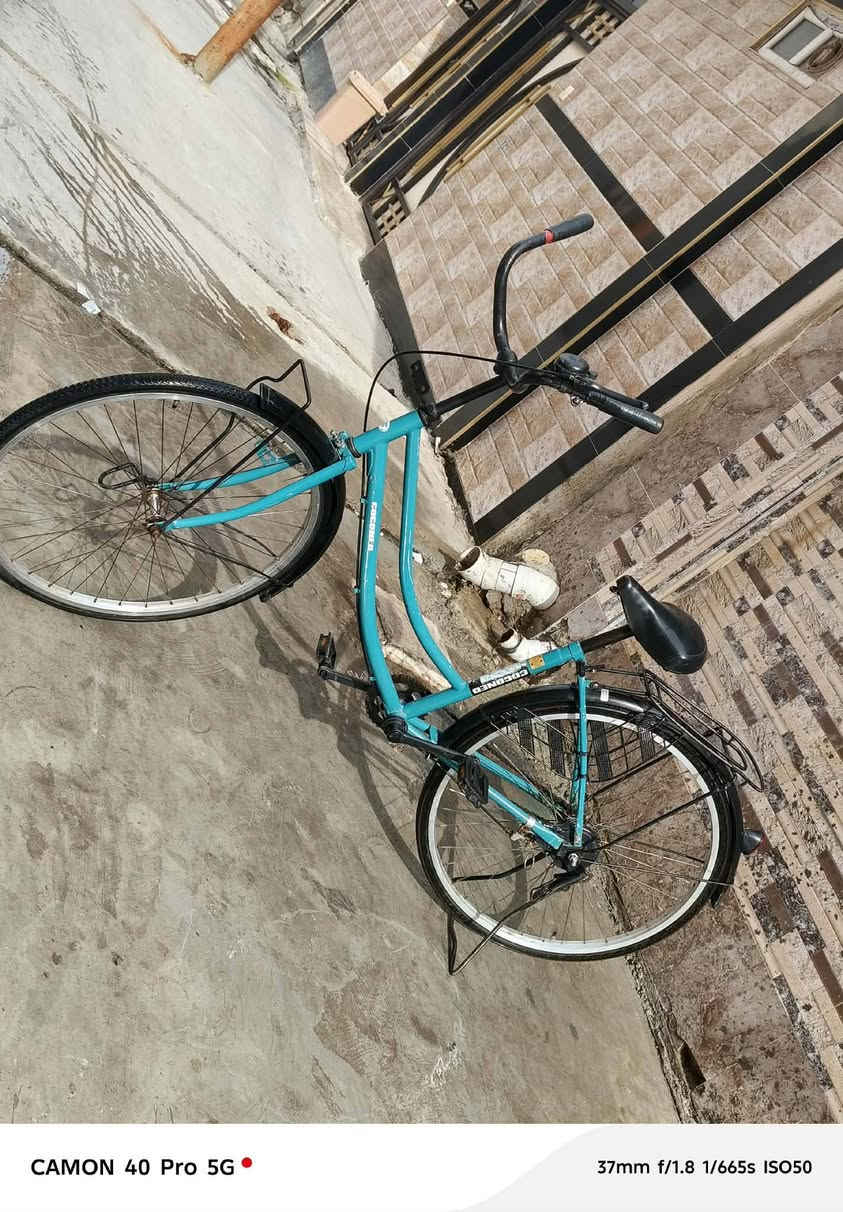 سلام عليكم بايسكل عبدالحليم للبيع سعر 50وبي مجال للطيبين الشراي يطب خاص


**إذا كنت صاحب هذا الإعلان وتريد حذفه لأي سبب، رجاءا أرسل رسالة إلى الدعم الفني**